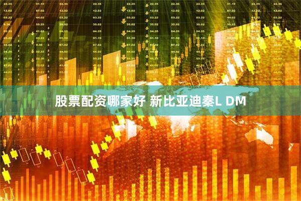 股票配资哪家好 新比亚迪秦L DM