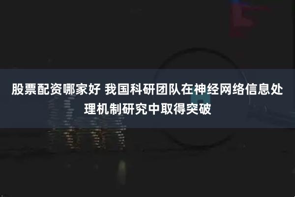 股票配资哪家好 我国科研团队在神经网络信息处理机制研究中取得突破