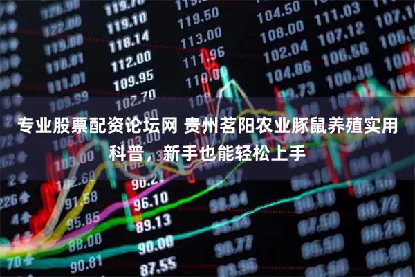 专业股票配资论坛网 贵州茗阳农业豚鼠养殖实用科普，新手也能轻松上手